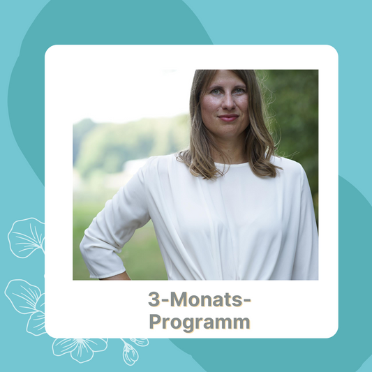 3-Monats-Programm