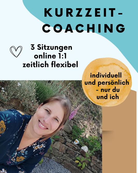 Kurzzeit-Coaching: 3 Sitzungen